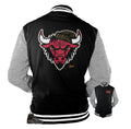 Retro 8 Air Raid Rasta Bull Jacket