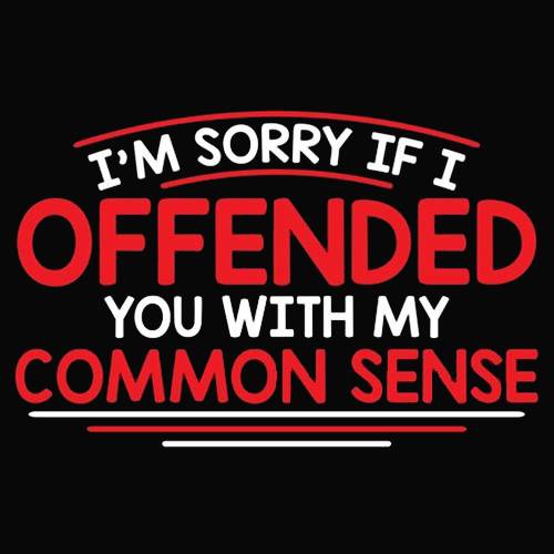 I'm Sorry If I Offended You WIth My Common Sense T-Shirt product image 2