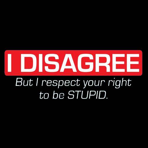 I Disagree. But I Respect Your Right To Be Stupid T-Shirt product image 2