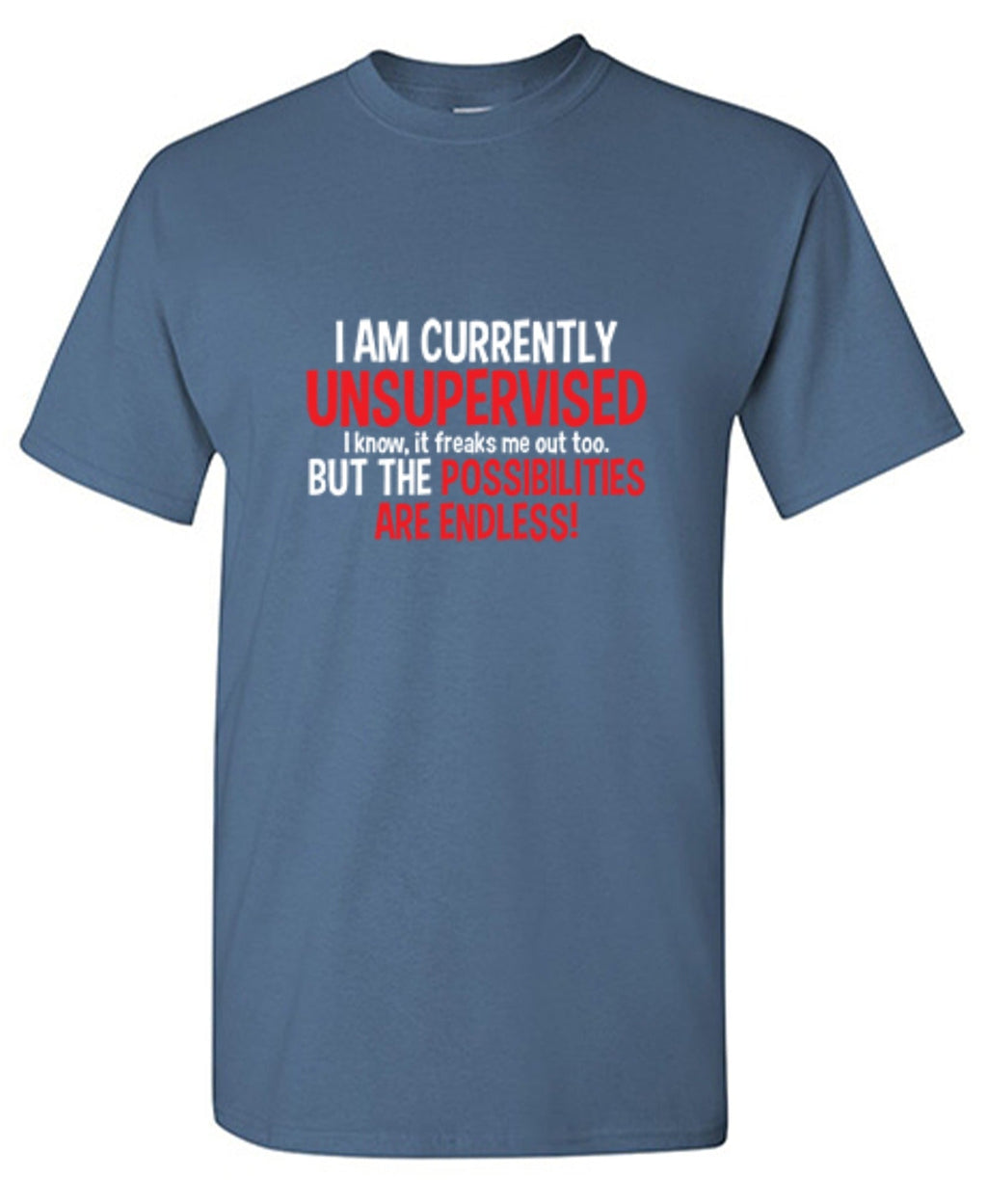 I Am Currently Unsupervised I know, It Freaks Me Out Too product image 1