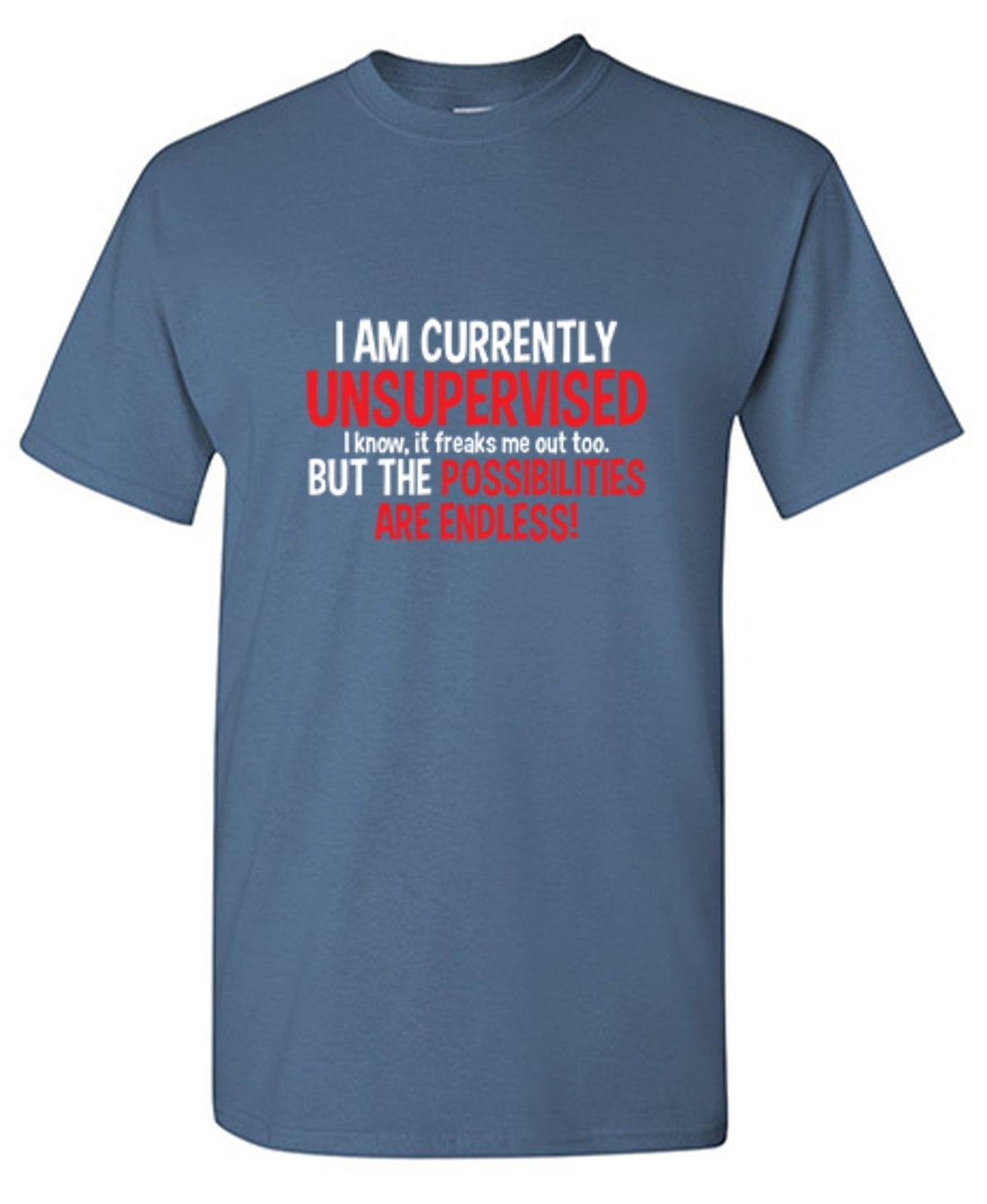 I Am Currently Unsupervised I know, It Freaks Me Out Too product image 1