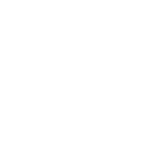 I Love Pig Butts And I Can Not Lie T-Shirt product image 3
