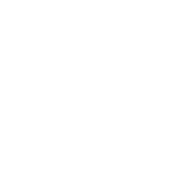 What doesn't kill you makes stronger Except for bears product image 2