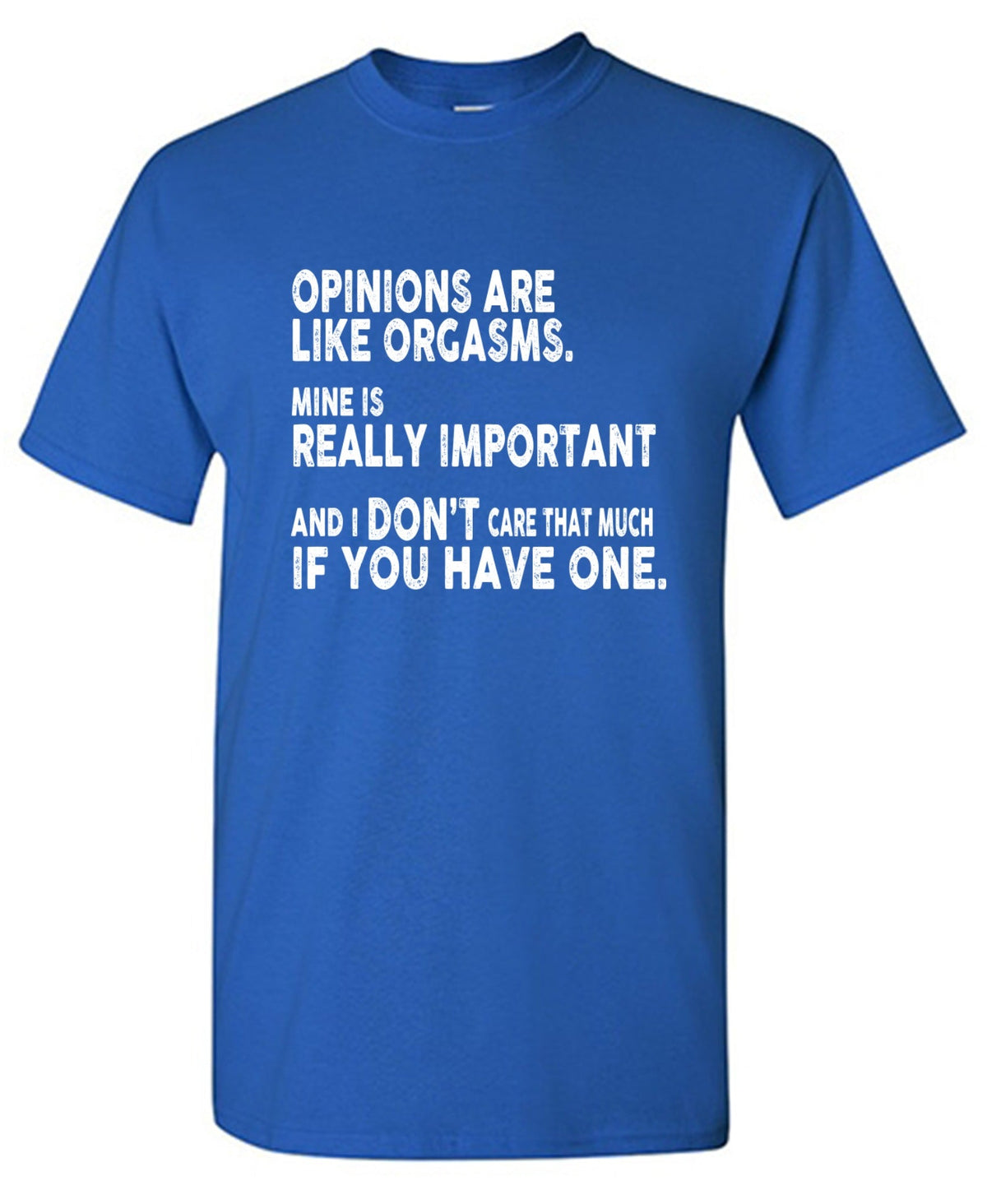 Opinions Are Like Orgasms T-Shirt product image 1