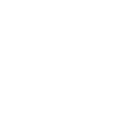 Donkey Punch Champion T-Shirt product image 3