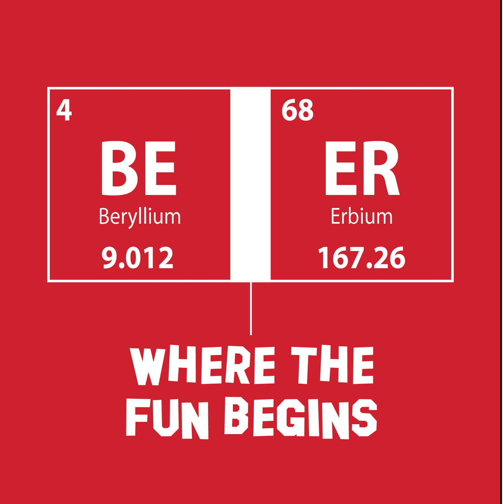 Where the fun begins T-Shirt product image 3