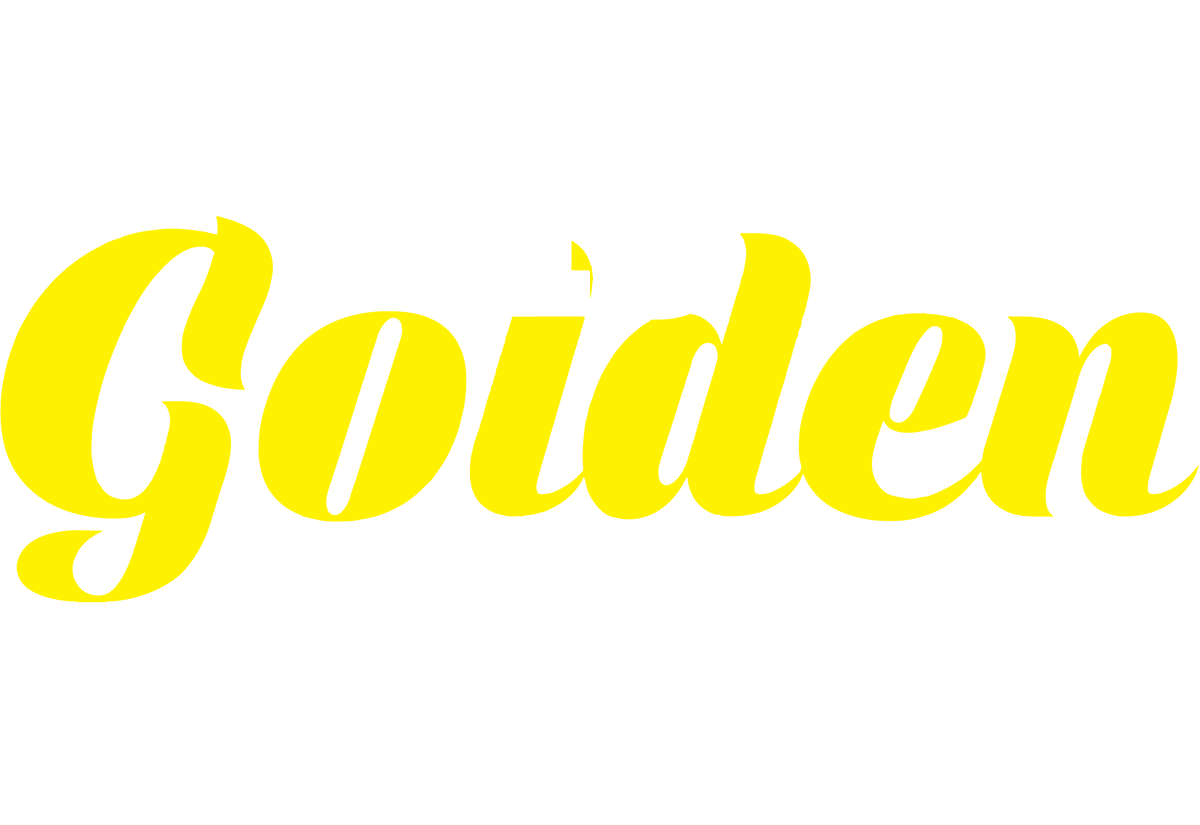 Silence Is Golden Unless You Have Kids, Then Its product image 3