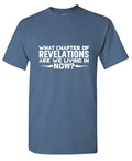 What Chapter Of Revelations Are We Living In Now? T-Shirt product image 1