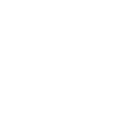 I Got Out Of Bed For This T-Shirt product image 2