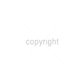 SHENANIGANS T-Shirt product image 2