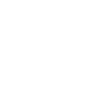 Irish Drinking Team T-Shirt product image 2