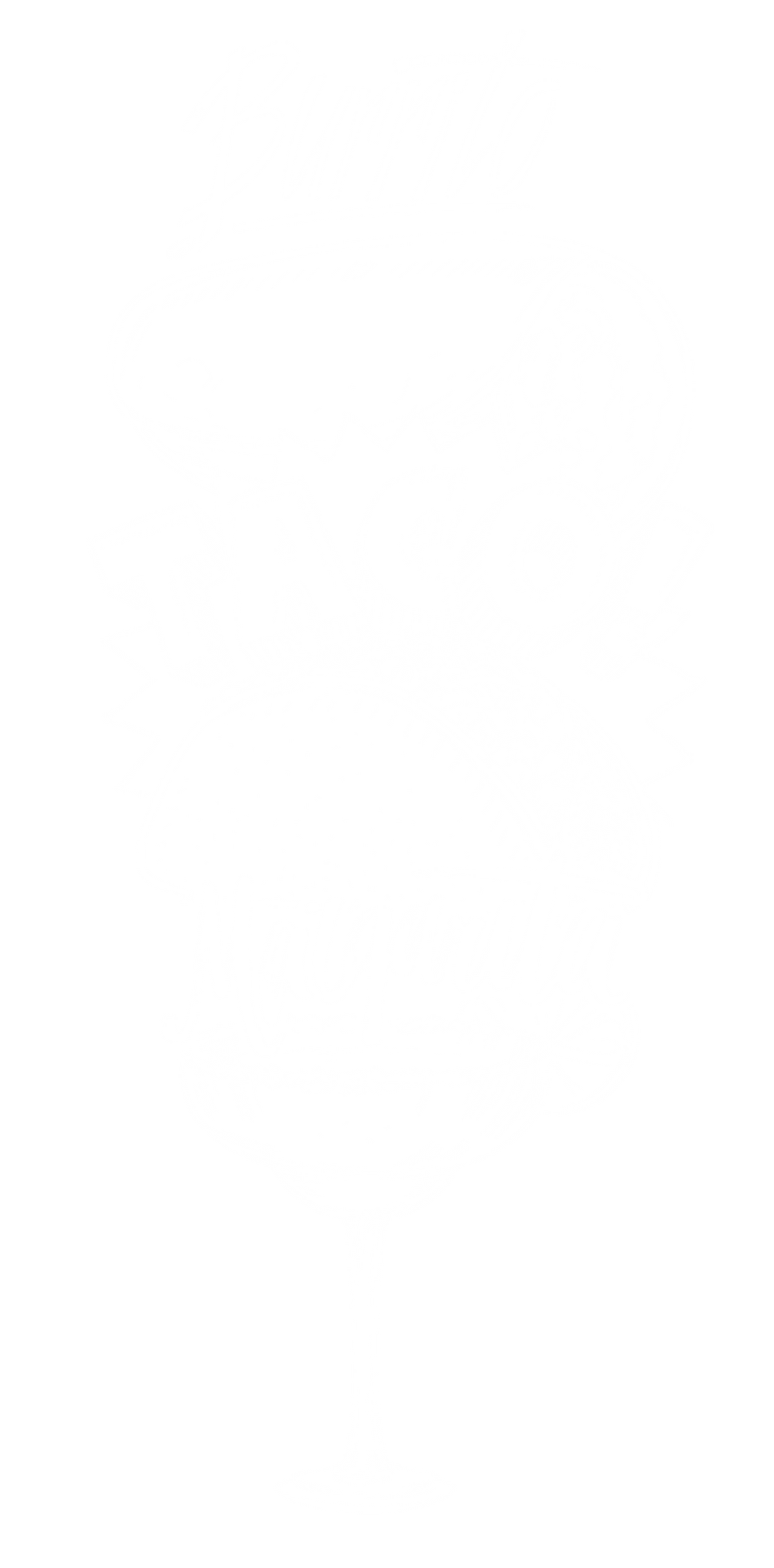 Burrito, Taco!, Margarita, Graphic Shirt product image 3