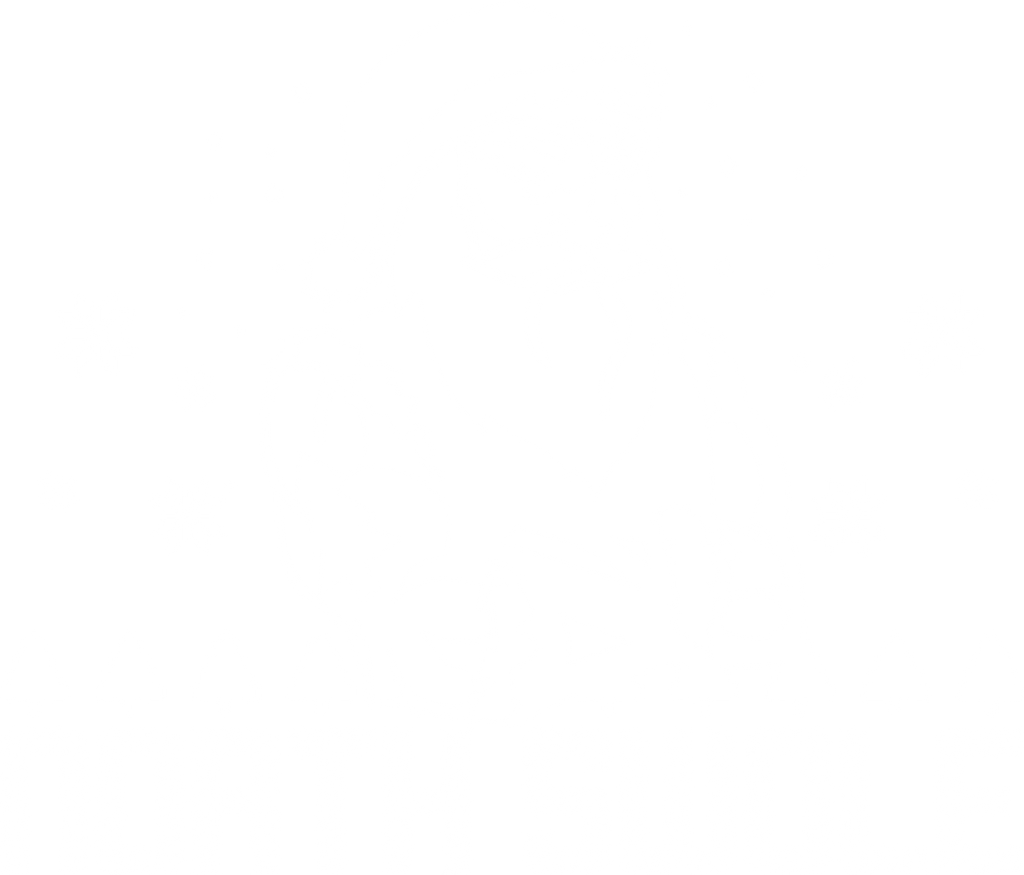North Swole Funny Shirt product image 3