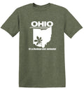 Ohio It's A Buckeye Leaf Seriously T-Shirt product image 1