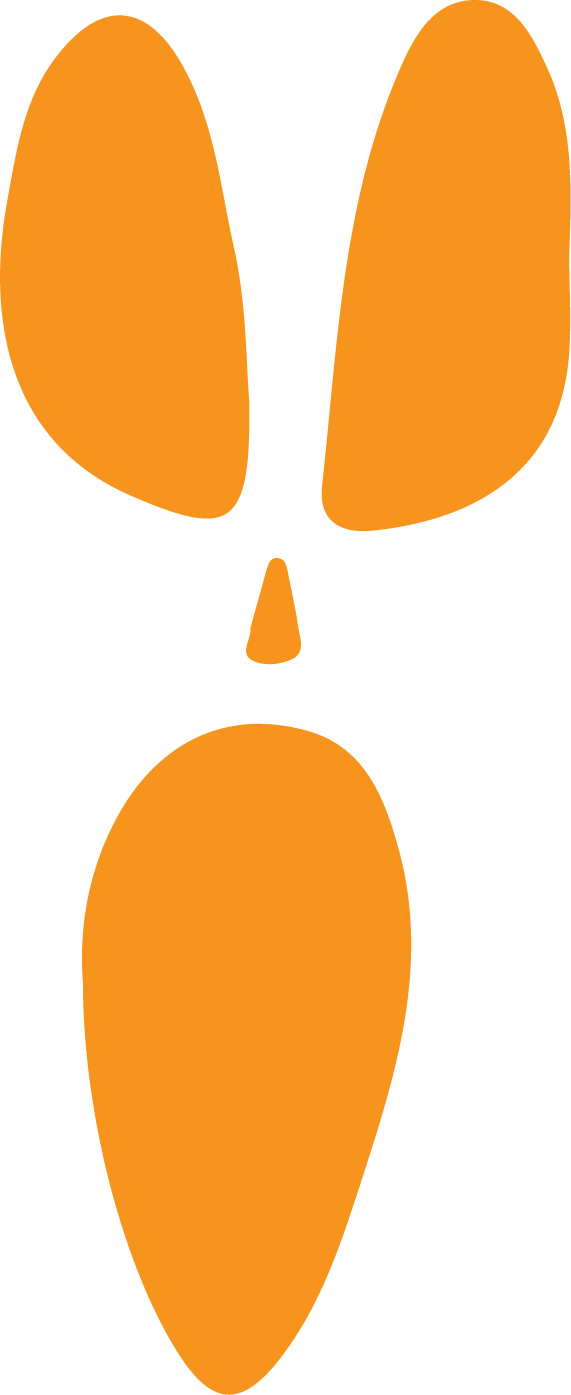 Pumpkin O Face, Tee product image 3
