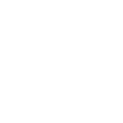 Brooklyn Stickball Champions T-Shirt product image 3