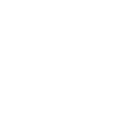 Have An Ordinary Day T-Shirt product image 3