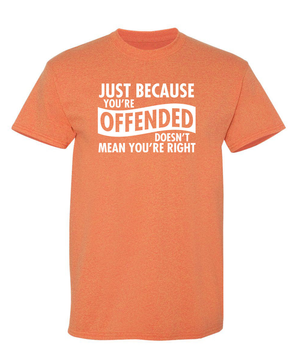 Just Because Your Offended Doesn't Mean You're Right T-Shirt product image 1
