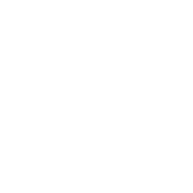 Oh Snap Skeleton T-Shirt product image 2