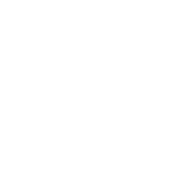 Irish T-Shirt product image 2