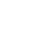 My Cat Thinks I'm Cool T-Shirt product image 3