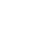My Dog Thinks I'm Cool T-Shirt product image 3
