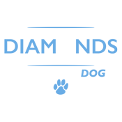 Whoever Said That Diamonds Are A Girls Best Friend Never product image 2