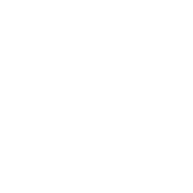 Smoke Weed Everyday T-Shirt product image 3