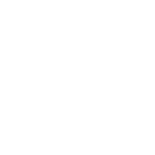 I Hate Cats Said No One Ever T-Shirt product image 2