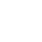 Dogs Are My Favorite People T-Shirt product image 2