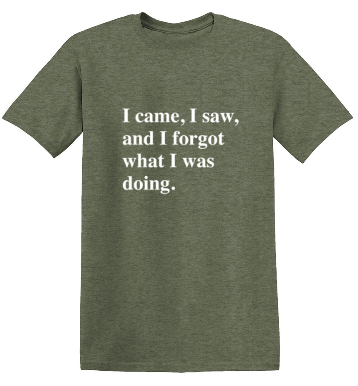 I Came I Saw I Forgot What I Was Doing T-Shirt product image 1