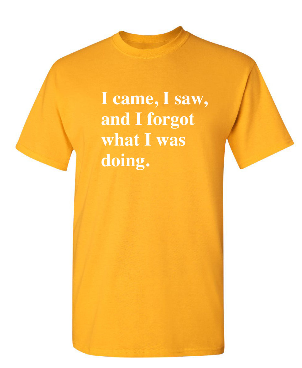 I Came I Saw I Forgot What I Was Doing. T-Shirt product image 1