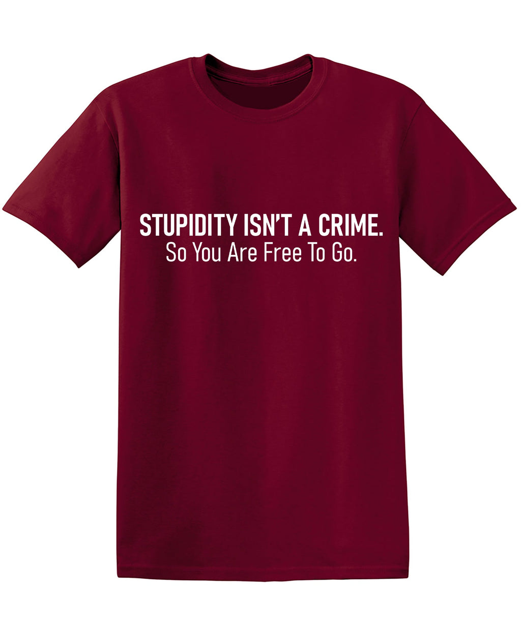 Stupidity isnt a Crime Funny Tee product image 1