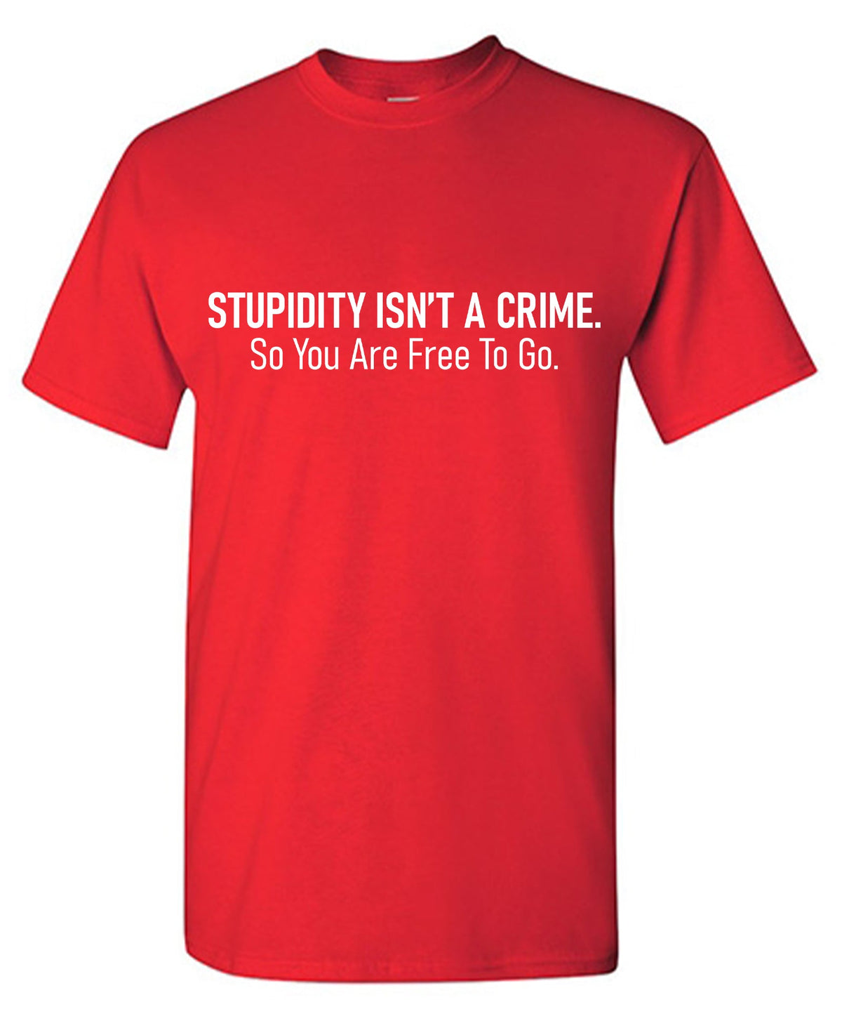 Stupidity isnt a Crime Funny Tee product image 1