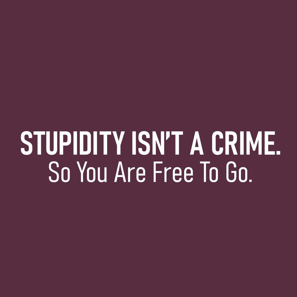 Stupidity isnt a Crime Funny Tee product image 2