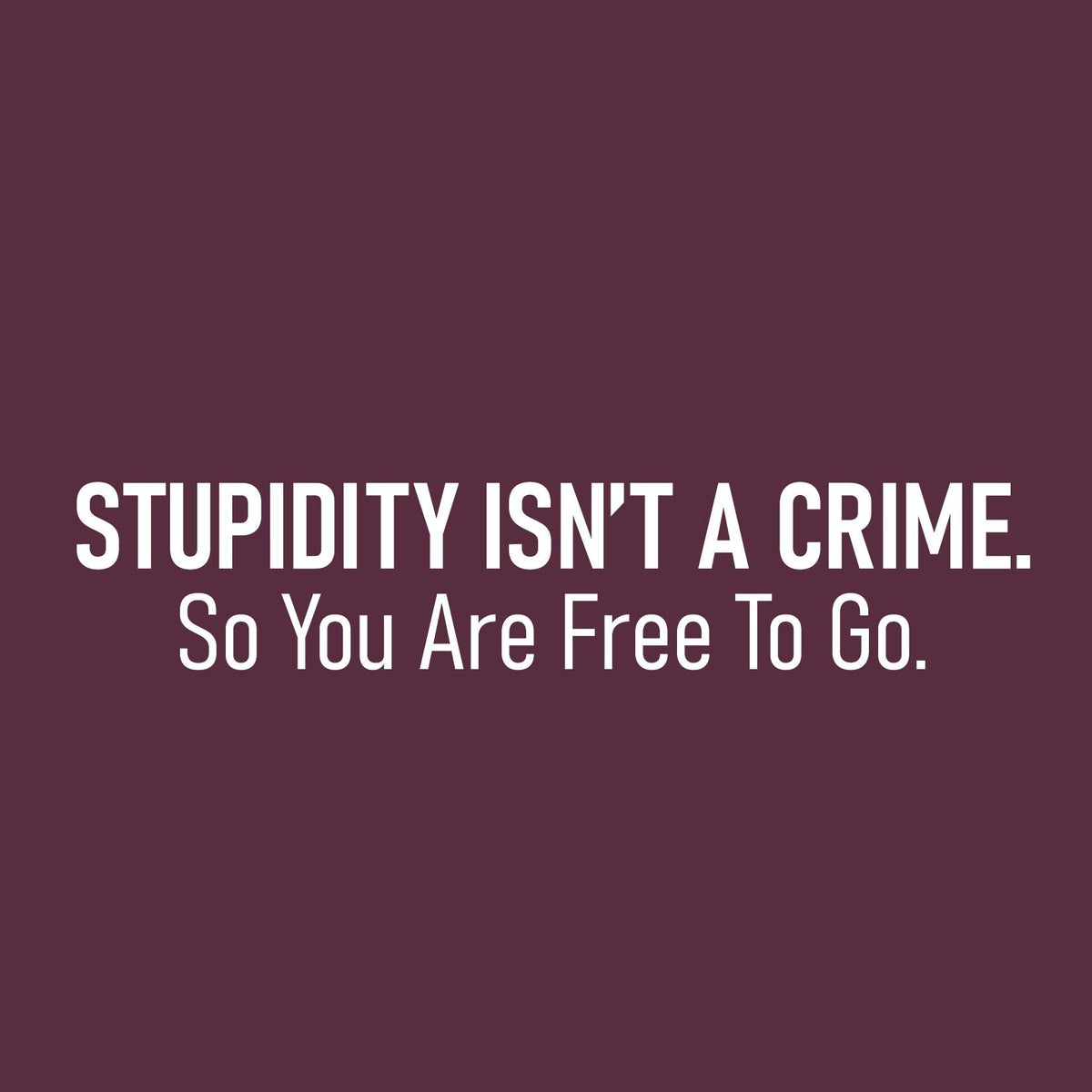 Stupidity isnt a Crime Funny Tee product image 2