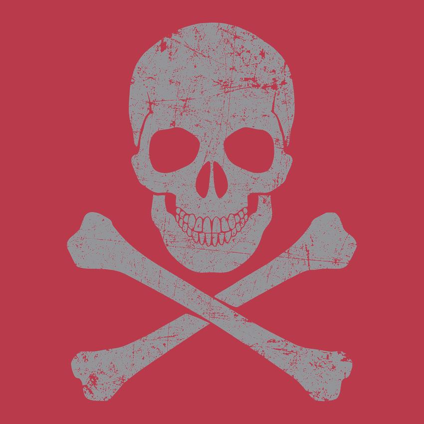 Grey Skull & Bones Mens Tee product image 2