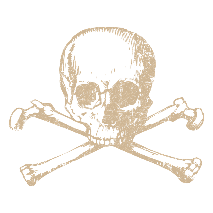 Human Skull Mens Tee product image 2