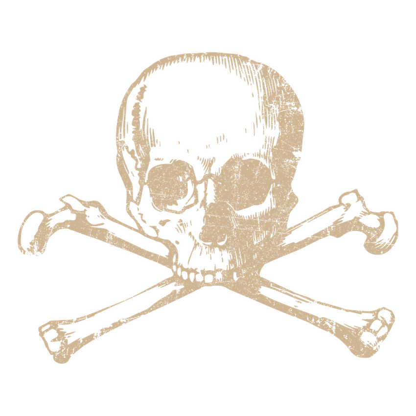 Human Skull Mens Tee product image 3