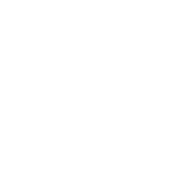 You Don't Do Stupid Things While Young You'll Have Nothing product image 3