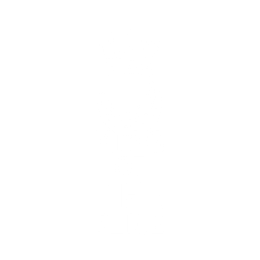 King of The Slice, Golfer T Shirt for Men T-Shirt product image 3