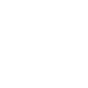 Because I Said So T-Shirt product image 2