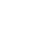 My Mom Didn't Raise A Dummy, And If She Did It Was My product image 3