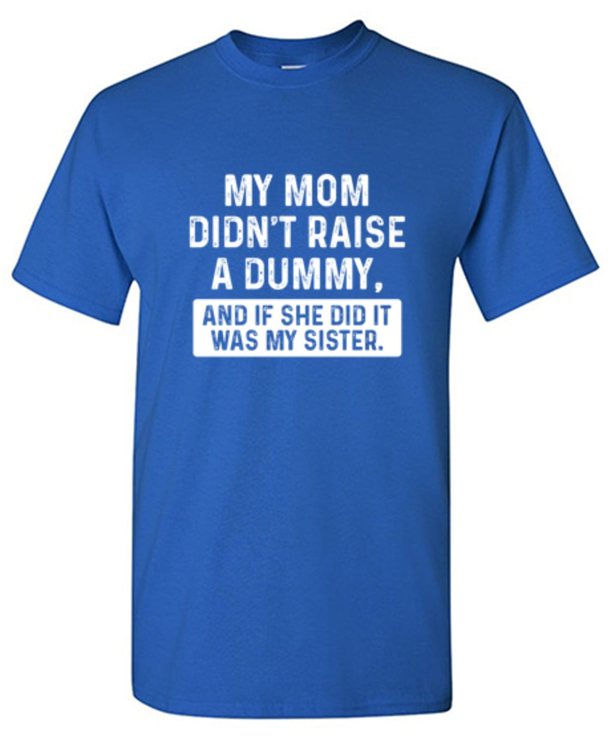My Mom Didn't Raise A Dummy, And If She Did It Was My product image 1