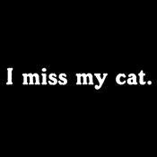 I Miss My Cat T-Shirt product image 2
