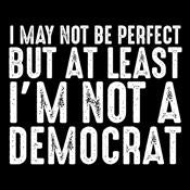 I May Not be Perfect But At Least I'm a Democrat T-Shirt product image 2