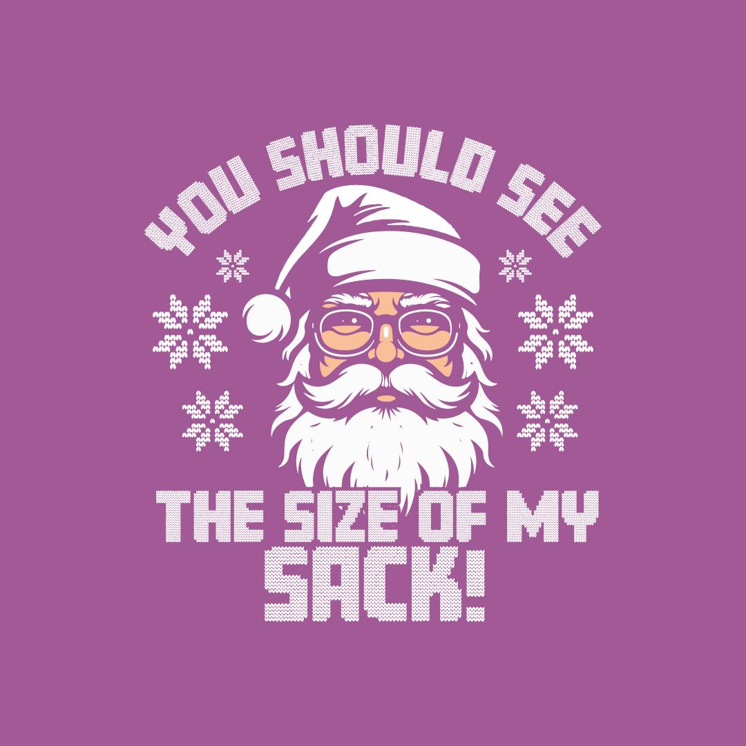 You should see the Size of My Sack, Funny Christmas T-Shirt product image 2