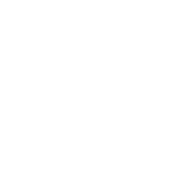 I F*cking Love And I Cannot Stress This Enough Cats T-Shirt product image 2