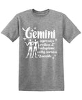 GEMINI Funny Tee product image 1
