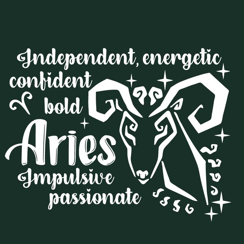 ARIES Funny Shirts